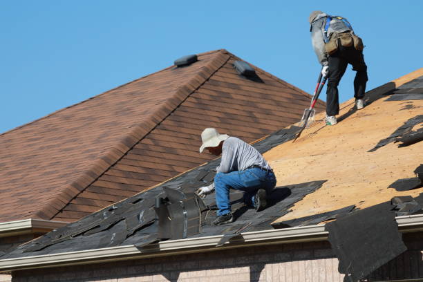 Best Solar Panel Roofing Installation  in Sterling, GA